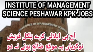 Institute of Management Sciences Peshawar Jobs 2021