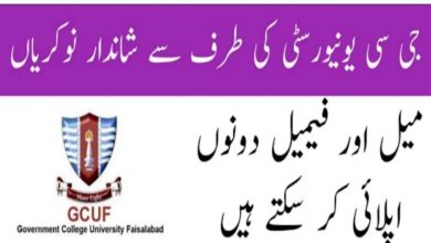 Government College GC University Faisalabad Jobs 2022