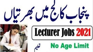 Punjab Group of Colleges jobs