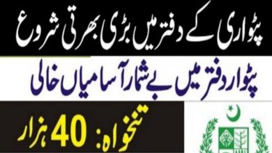 Board of Revenue Punjab Jobs 2021 Latest Recruitment