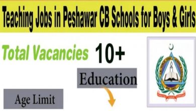 CB Public High School jobs