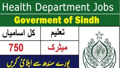 Sindh Govt Jobs Today