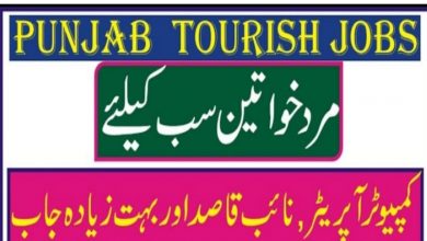 Punjab Tourism for Economic Growth jobs