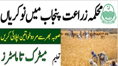 Agriculture Department Punjab Jobs 2021