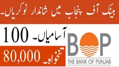 The Bank of Punjab BOP jobs today latest