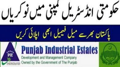 Punjab Industrial Estates Development & Management Company PIEDMC Jobs 2022