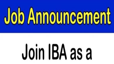 Institute of Business Administration IBA Karachi Jobs 2022