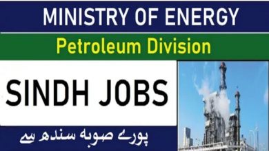 Ministry of Energy Petroleum Division Jobs 2022