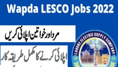 Lahore Electric Supply Company LESCO Jobs 2022 – www.lesco.gov.pk