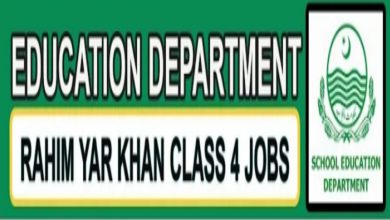 District Education Authority Mandi Bahauddin Class IV Jobs 2022