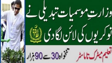 Ministry of Climate Change Jobs 2022 Online Application