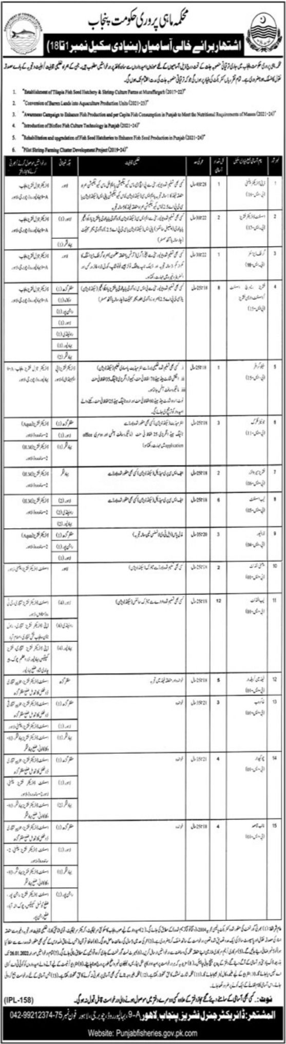 Fisheries Department Punjab Jobs 2022