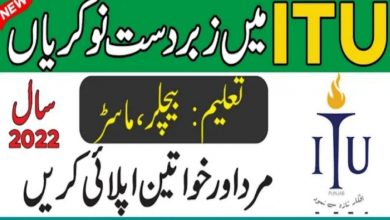 Information Technology Board AJK Jobs 2022 Online Application