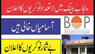 Bank of Punjab BOP Jobs 2022 Advertisement Latest