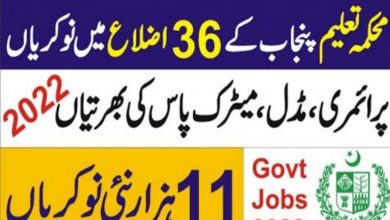 Non Teaching Jobs 2022 Notification in Education Department Punjab