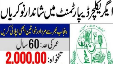 Agriculture Department Punjab Jobs 2022