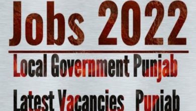 Local Government Punjab Jobs 2022