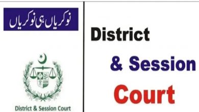 Jobs in Buner District and Session Courts