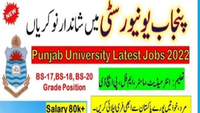 University of the Punjab PU Lahore Jobs 2022