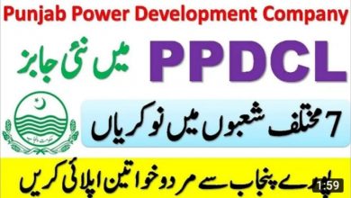 Punjab Power Development Company Limited PPDCL Jobs 2022