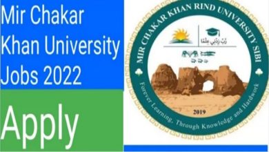 Mir Chakar Khan Rind University Sibi Jobs 2022