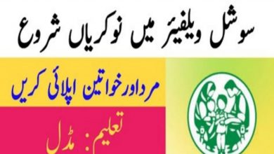 Govt Jobs in Khushab District Population Welfare Department