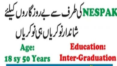 NESPAK Foundation Jobs 2022 Online Application Form