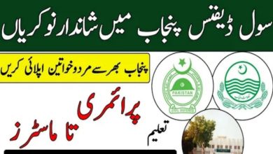 Civil Defence Department Punjab Jobs 2022