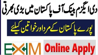 EXIM Bank of Pakistan Jobs 2022 Online Applications