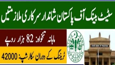 Today Jobs in State Bank of Pakistan SBP Apply Online at www.sbp.org.pk