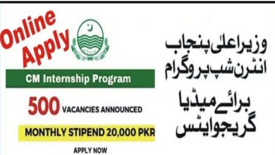 CM Punjab Internship Program 2022 for Media Graduates