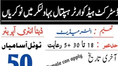 District Headquarter DHQ Hospital Bahawalnagar Jobs 2022