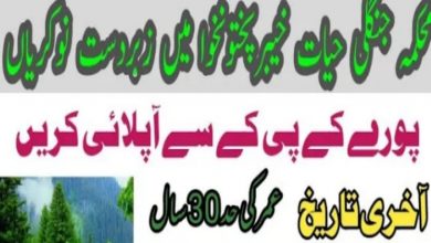 Forest Department Dera Ismail Khan Jobs 2022