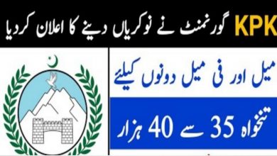 Employees Social Security Institution KPK Jobs 2022