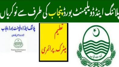 Planning and Development Board Punjab Jobs 2022