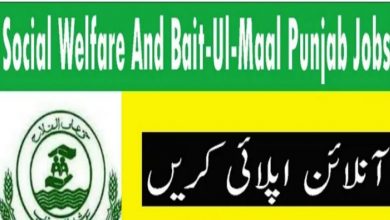 Social Welfare & Bait ul Maal Department Punjab Jobs 2022