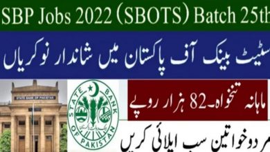 State Bank Officers Training Scheme 25th Batch – SBP Jobs 2022