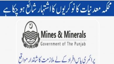 Mines and Minerals Department Punjab Jobs 2022