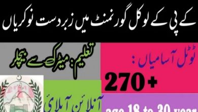 Local Government KPK Jobs 2022 Apply Online (279 Vacancies)