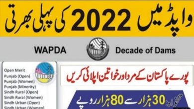 WAPDA Hospital Quetta Jobs 2022 Application Form