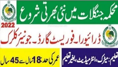 Forest Department Buner Watershed Division Jobs 2022