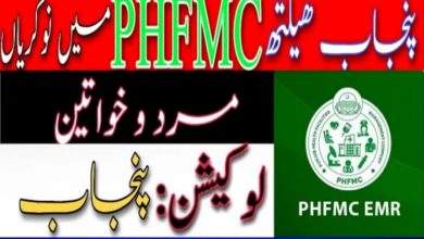 Punjab Health Facilities Management Company PHFMC Job