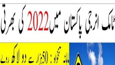 Pakistan Atomic Energy Jobs 2022 Public Sector Organization