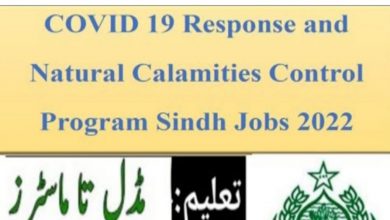 Government Jobs in Sindh 2022 for Sindh Residents