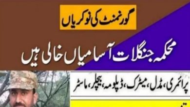 Wildlife and Parks Department Punjab Jobs 2022