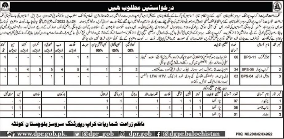 Agricultural Statistics Crop Reporting Services Balochistan Jobs 2022