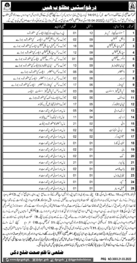 District Health Department Duki Jobs 2022 March Advertisement