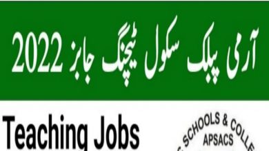 Army Public School APS High Altitude School Rattu Astore Jobs 2022