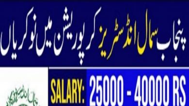 Punjab Small Industries Corporation Jobs 2022