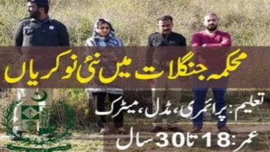 Forest Department Punjab Jobs 2022 March Advertisements